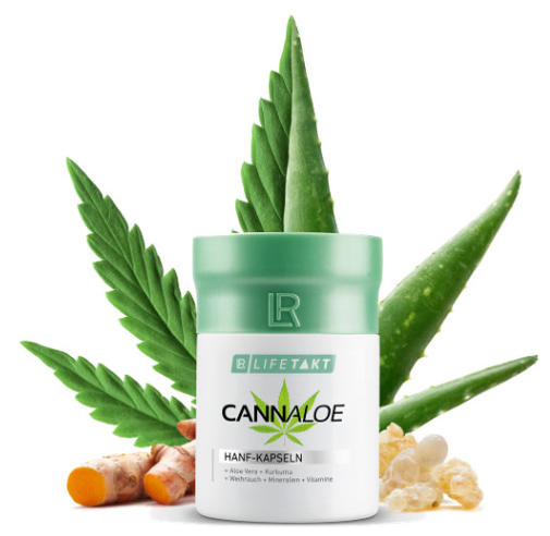 Cannaloehe - Cannabis und Aloe